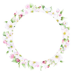Fototapeta na wymiar Round floral spring frame of the pink apple flowers and green leaves hand drawn in watercolor isolated on a white background. Floral watercolor illustration.