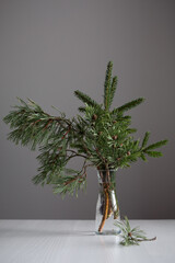 Different evergreen spruce branches in transparent vase on white table