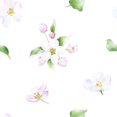 Picturesque seamless floral pattern of the apple  flowers, leaves and buds  hand drawn in watercolor isolated on a white background. Watercolor floral pattern.	