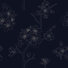 Seamless linear floral pattern with the apple blossom branches  on a dark background. Contour seamless pattern. 	

