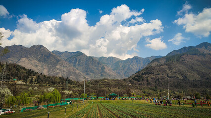 landscape with sky and clouds