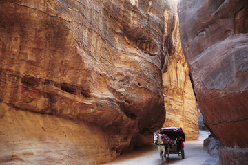 The Siq of Petra with its beautiful rocks and the inevitable horse drawn carriage