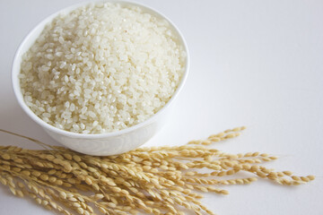 rice grains in a bowl and Ears of rice isolated on white background.