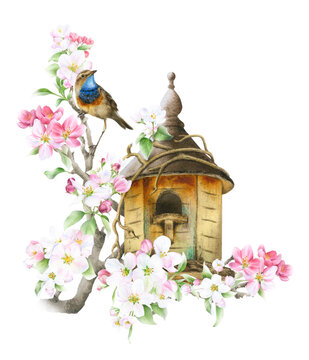 A bird house placed on a blooming apple branch and a bird hand drawn in watercolor isolated on a white background. Watercolor illustration. Apple blossom. Spring watercolor illustration	
