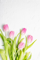 Obraz na płótnie Canvas Bouquet of gentle pink tulips on white plaster background
