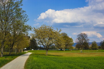 Fototapeta na wymiar Bicycle path through the green landscape, blue sky with white clouds