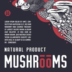 Mushroom picking of morel. Vegetarian fungus boletus or cremini collection for food. Organic nature mushrooms or fungi porcini for healthy nutrition
