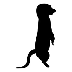 Silhouette meerkat in pose suricata suricatta black color vector illustration flat style simple image