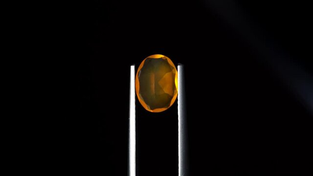 natural yellow fire opal gemstone in the tweezer on the background