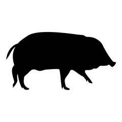 Silhouette wild boar hog wart swine suidae sus tusker scrofa black color vector illustration flat style simple image
