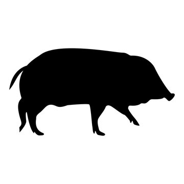 Silhouette wild boar hog wart swine suidae sus tusker scrofa black color vector illustration flat style simple image