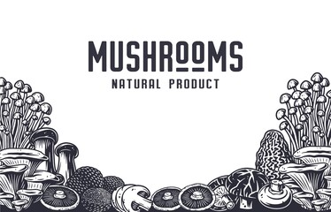 Mushroom picking of morel. Vegetarian fungus boletus or cremini collection for food. Organic nature mushrooms or fungi porcini for healthy nutrition © Casoalfonso