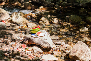 Refreshing near forest stream. Sliced watermelon on the rocks.