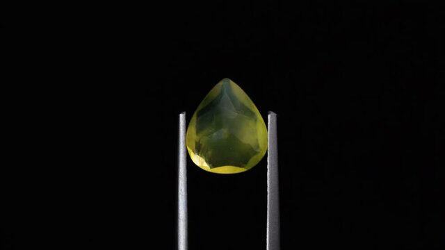 natural yellow fire opal gemstone in the tweezer on the background