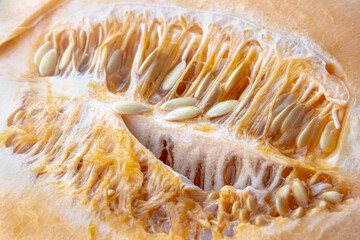 Seeds Inside a Fresh Yellow Melon