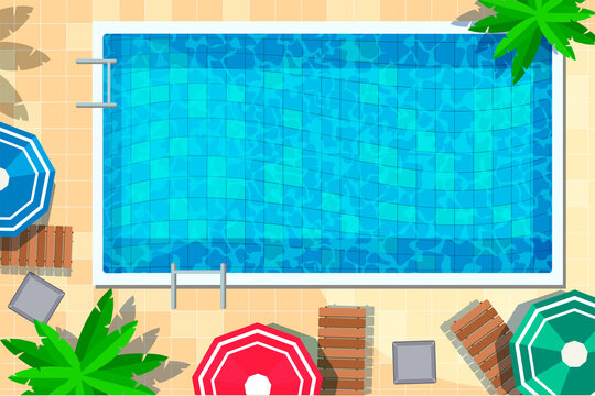 Hotel swimming pool with rest accessory top view. Water activity, tropical resort recreation. Lounge area with deck chair table under palm tree. Tourism, summertime vacation entertainment. Vector.