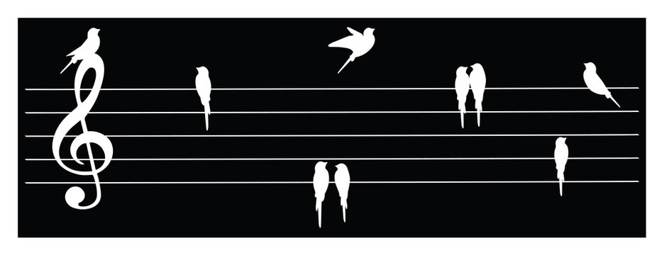 Music Staff And Birds Instead Notes, Vector. White Birds Silhouettes Isolated On Black Background. Wall Art, Artwork. Black And White Poster Design