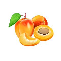 Apricot fruit cut and slice isolated organic food snack. Half of apricot, slice of fruit healthy food. Digital art illustration, peach nectarine, healthy vitamin ingredient antioxidant tasty eating