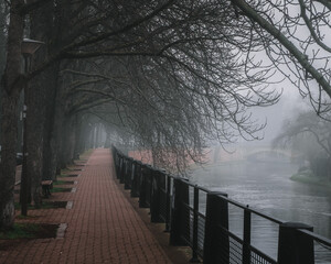 Beautiful view of the river Rhein in Strasbourg park. Mystic foggy weather, autumn atmosphere. Fall season. Travel in Europe.