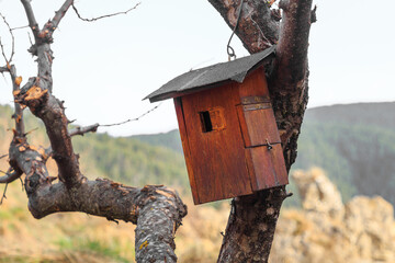 Wooden birdhouse hanging from a tree