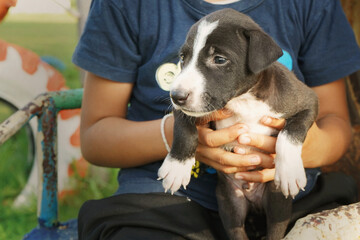 children playing with baby dog