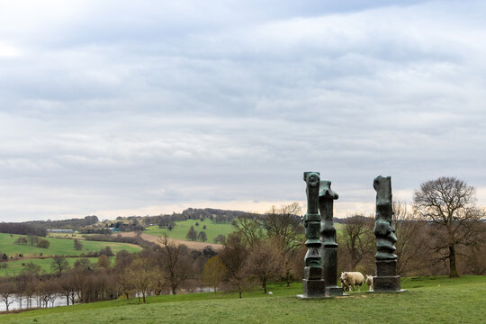 Sheep grazing next to Upright Motives No. 1 (Glenkiln Cross): No 2; No 7 bronze sculpture by Henry Moore in Yorkshire Sculpture Park, UK.