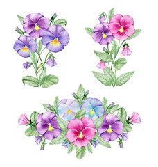 Violas, a hand-drawn garden plant. Watercolor set, bouquets and borders, on an isolated background.