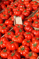 Pachino Costoluto tomatoes are a specialty of sicilian food in Italy
