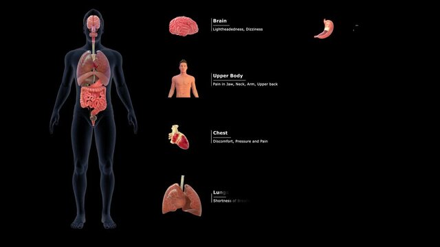 Heart Attack Symptoms
