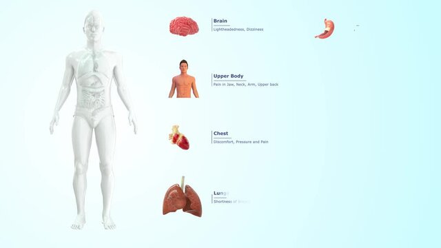 Heart Attack Symptoms
