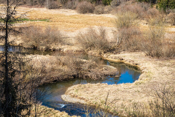 Une charmante petite rivière dans les Hautes-Fagnes