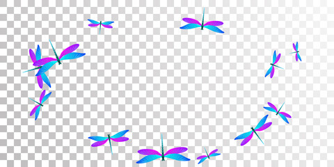 Magic blue purple dragonfly flat vector background. Spring ornate damselflies. Simple dragonfly flat children illustration. Delicate wings insects graphic design. Fragile beings