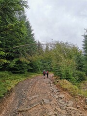 hiking in the mountains