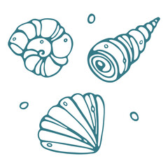 Set of Seashells Vector Illustration. Hand drawn seashells on isolated background for fabric, textile, design logo. Summer, Hello Summer, Summertime, holidays, sea life