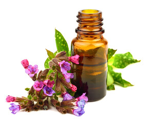 Lungwort Extract in a Bottle (Pulmonaria Officinalis) with Herbal Flower Plant. Also known as...