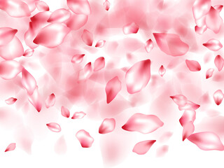 Pink sakura flower flying petals isolated on white vector background.
