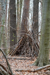 Waldkinder