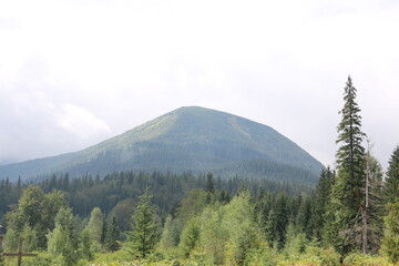 landscape with trees and clouds