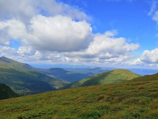 Naklejka premium landscape with blue sky
