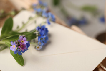 Beautiful Forget-me-not flowers on envelope, closeup. Space for text