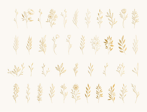 Collection of gold vector floral design elements. Decoration elements for invitation, wedding cards, valentines day, greeting cards. Isolated.