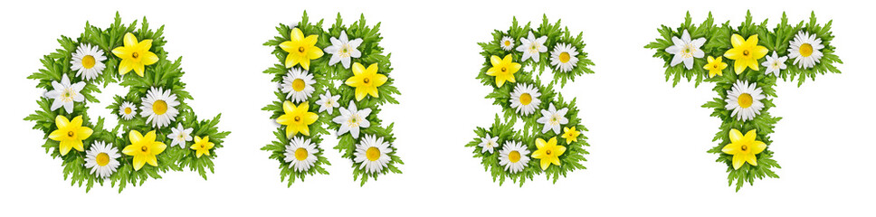 Fototapeta premium The letters Q, R, S, T are made of beautiful flowers
