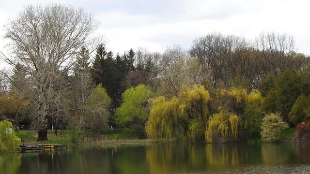 Serene landscape scene with the lake of the Constantin Stere park and the forest  , a recreational area near Ploiesti City , Romania at the beginning of spring