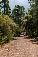 Parte de un sendero en La Caldera, una zona de ocio en la isla de Tenerife