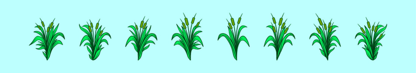 set of cattail cartoon icon design template with various models. vector illustration isolated on blue background