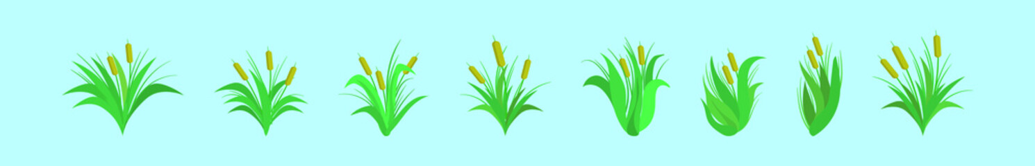 set of cattail cartoon icon design template with various models. vector illustration isolated on blue background