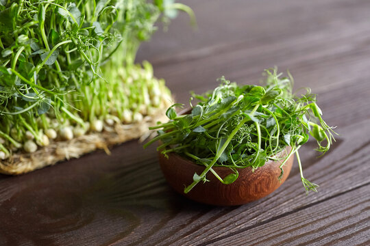 Pea microgreens shoots in bowl on brown wooden table. Cutted micro greens