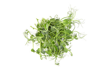 Microgreens pea shoots isolated on white background, top view