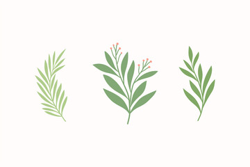 Set of botanical vector elements. Hand drawn illustration with leaves and plants.  Floral ornaments for card, logo design, print fashion.