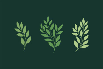 Set of botanical vector elements. Hand drawn illustration with leaves and plants.  Floral ornaments for card, logo design, print fashion.